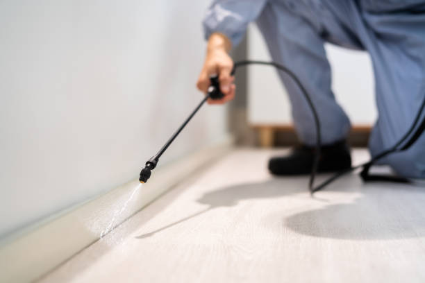 Certified termite inspector examining foundation in Air Force Academy