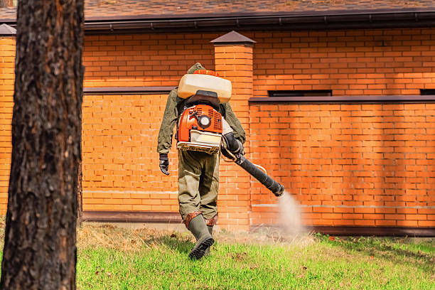 Cockroach Follow-Up and Monitoring in Air Force Academy